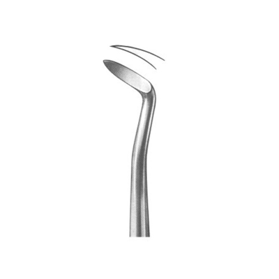 Text